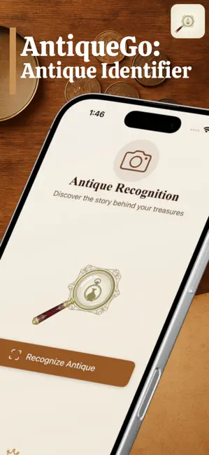 AntiqueGo App Screenshot - AI Identification Interface